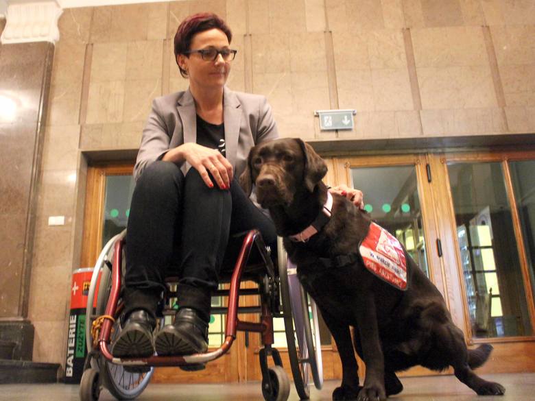 Pies, czyli ręka i noga osoby niepełnosprawnej 