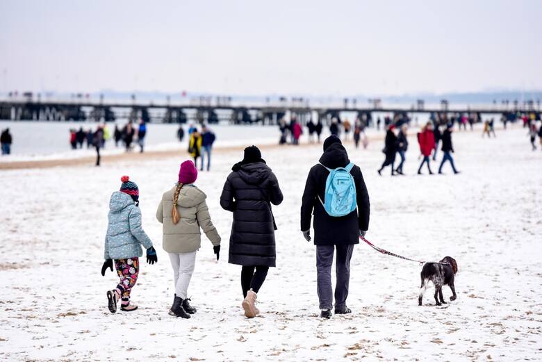 Zimą na wielu polskich plażach nie obowiązuje zakaz wyprowadzania psów. Na zimowy spacer można więc wybrać się razem z czworonogiem.
