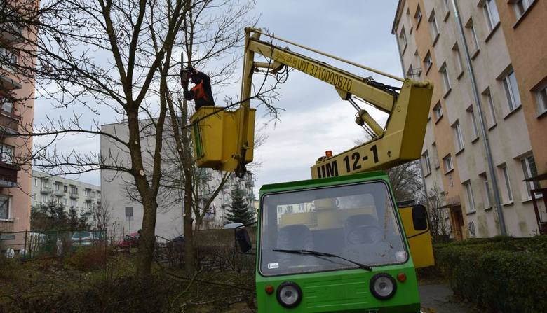 Wycinka osiedlowych drzew w Suchedniowie. Jedni jej żądają, inni protestują