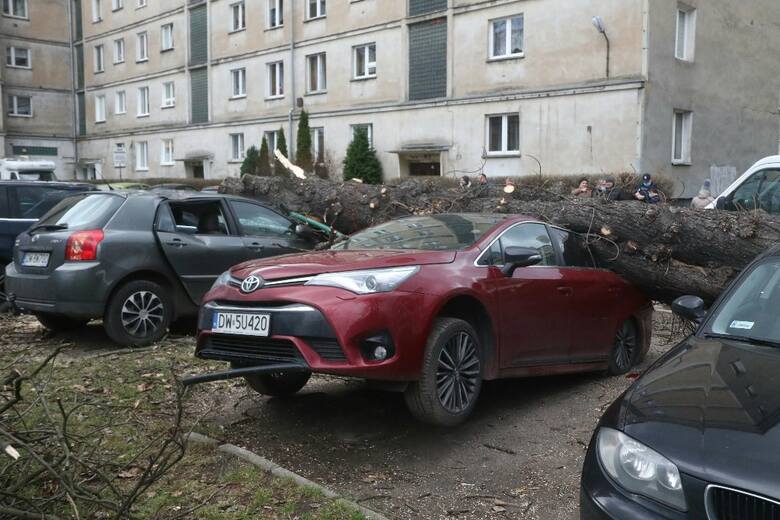Drzewo runęło na 8 samochodów przy skrzyżowaniu ulic Kołłątaja i Kościuszki we Wrocławiu