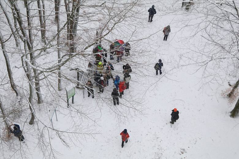 Uczestnicy 19. rajdu krajoznawczego "Zima w Borach Tucholskich - Kaszubskie Uroczyska", który odbył się 13 stycznia, przeszli ok. 18