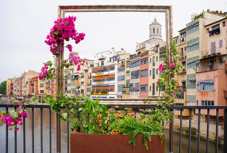 Kwiaty w Gironie, Hiszpania