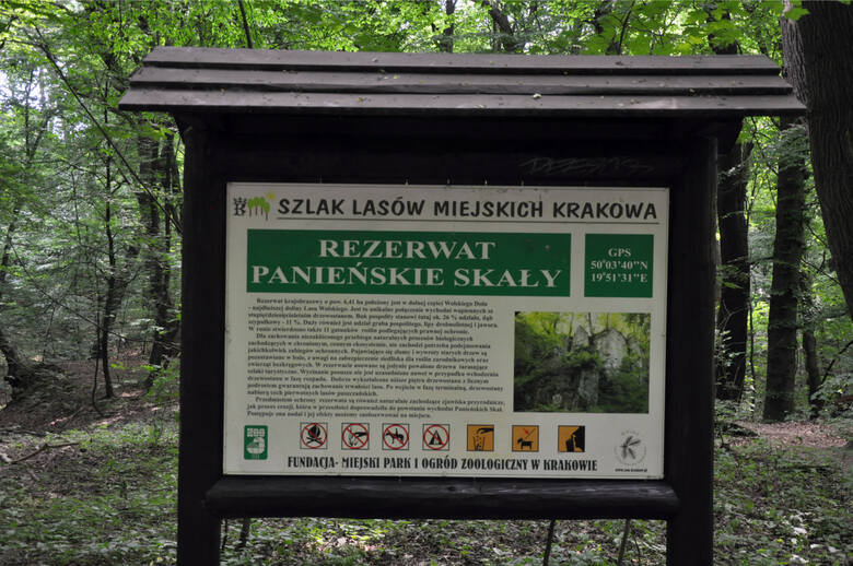 Rezerwat Panieńskie Skały w Krakowie