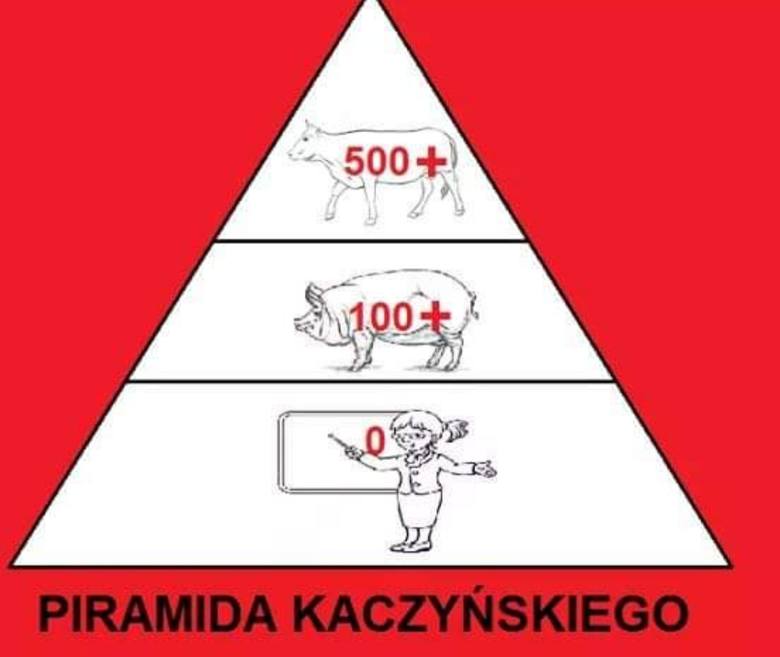 Polski Internet zalały mamy nawiązujące do strajku nauczycieli oraz obietnic złożonych na "wiejskiej" konwencji PiS przez prezesa partii rządzącej. W sprzedaży pojawiły się nawet koszulki z ukazanym tu zestawieniem "preferencji władzy"... 