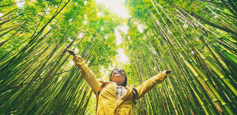 Kobieta w bambusowym lesie