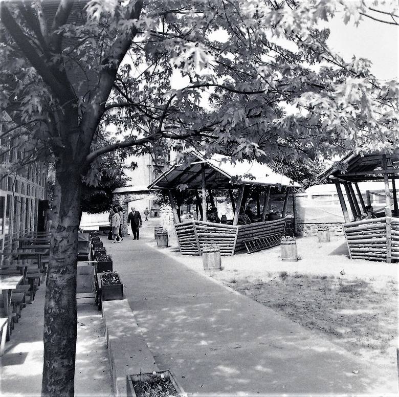  Latem 1973 roku w ogródku gastronomicznym Baru Rybnego „Tunek”