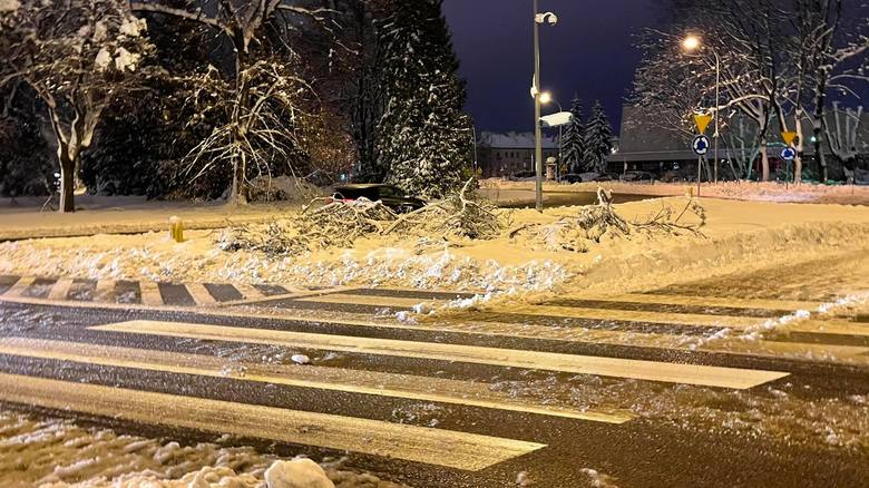 Połamane gałęzie przy placu Katyńskim obok białostockiej filharmonii. Uważajcie przechodząc pod drzewami. Ciężar śniegu łamie gałęzie jak zapałki!