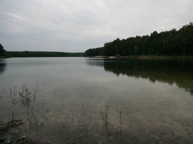 Jezioro Marwicko położone jest około 20 km od Gorzowa. Kto chce wybrać się tutaj samochodem z północnej stolicy Lubuskiego, śmiało może wybierać drogę na Dębno i przez Baczynę dojechać do Wysokiej. 