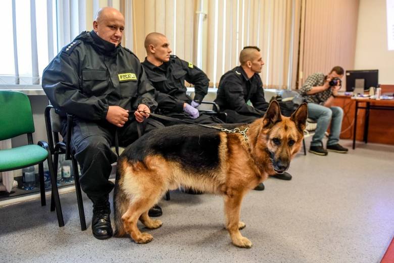 Podczas szkolenia policjanci uczyli się m.in., jak wykonać resuscytację krążeniowo-oddechową u zwierzęcia 
