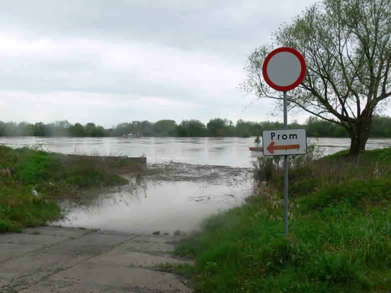 Stan wody Wisły w Tarnobrzegu podniósł się nieznacznie. Na zdjęciu miejsce przy przeprawie promowej