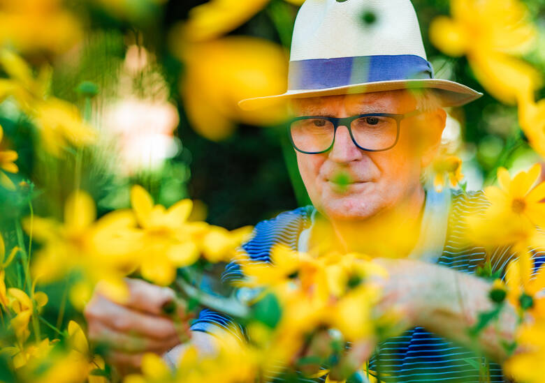 Starszy mężczyzna wśród żółtych kwiatów