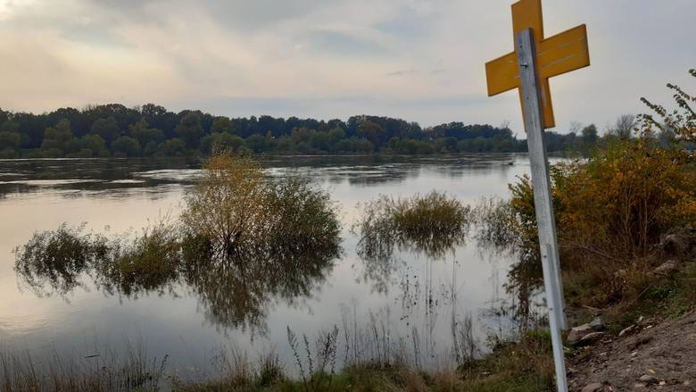 Wysoka Odra w Krośnie Odrzańskim. Poziom wody zacznie wkrótce spadać?