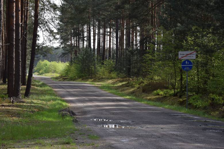 Kto rozjeżdża drogi leśne w Puszczy Tarnowskiej? Wiadomo, że w miarę możliwości są jak najszybciej naprawiane