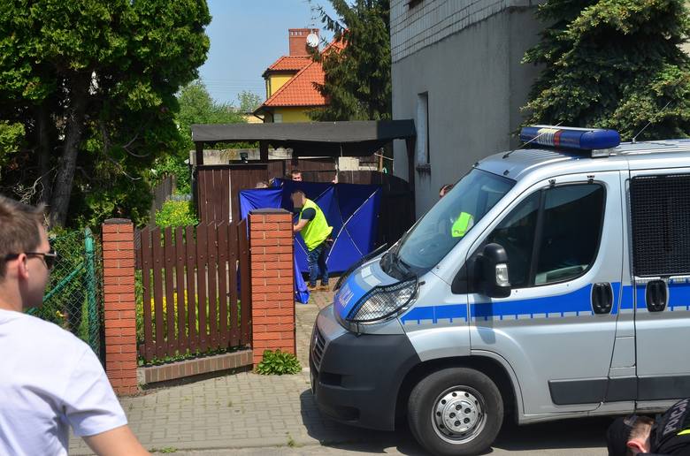 Poznań: Zabijała psy i koty. Cmentarz urządziła wokół domu