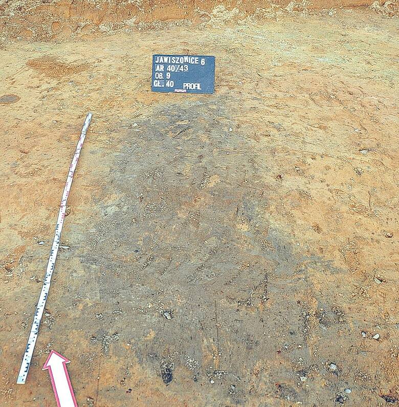 Na trasie budowy S1 między Oświęcimiem a Dankowicami natrafiono na cenne znaleziska archeologiczne