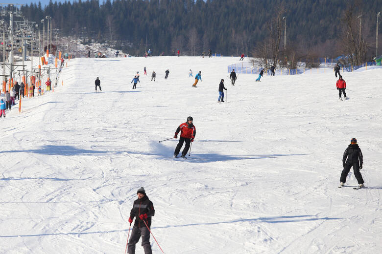 Polacy deklarują, że zimą chcą przede wszystkim zwiedzać nowe miejsca i wypoczywać. Jazda na nartach i uprawianie innych sportów zimowych interesuje