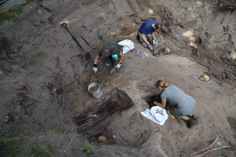 Prace archeologiczne w Nowym Porcie. Odnaleziono szkielety w miejscu dawnego cmentarza