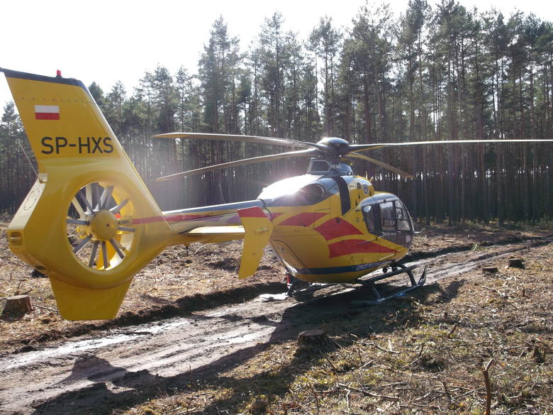 Rannego z lasu zabrał śmigłowiec Lotniczego Pogotowia Ratunkowego, jednak nie udało się go uratować.