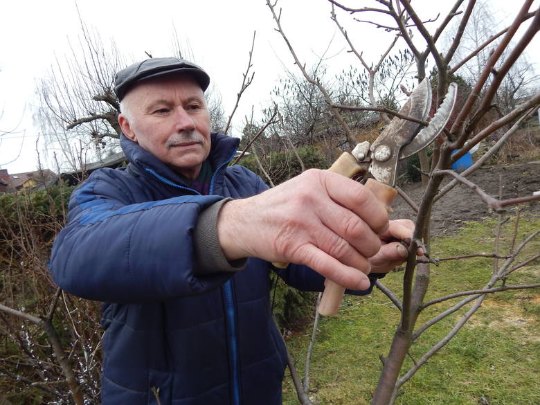 Ryszard Krupieńczyk ma ogródek w ROD Stolbud. - Mamy tu ok. 80 działek. Co roku na przełomie sierpnia i września organizujemy sobie dożynki. Każdy przynosi,