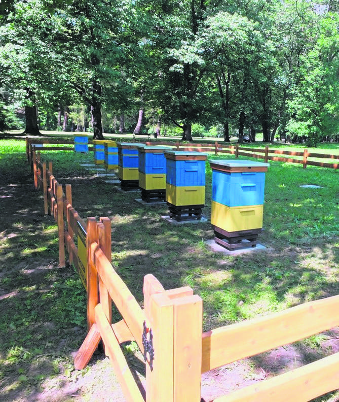 Klasa pszczelarska powstała w Zespole Szkół Agrotecznicznych i Ogólnokształcących w Żywcu
