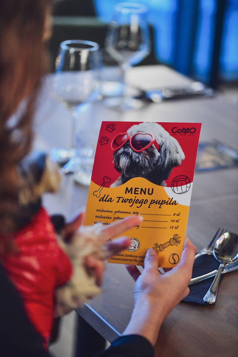 Restauracja z Lublina wprowadziła menu dla piesków. To ukłon w stronę opiekunów pupili 