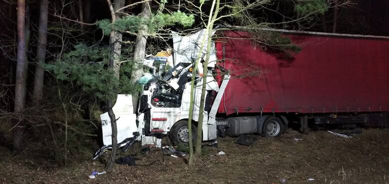 Do niebezpiecznej sytuacji doszło na DK 10 na trasie Bydgoszcz - Toruń. Na jadący samochód ciężarowy spadło drzewo, które spowodowało zakleszczenie kierowcy