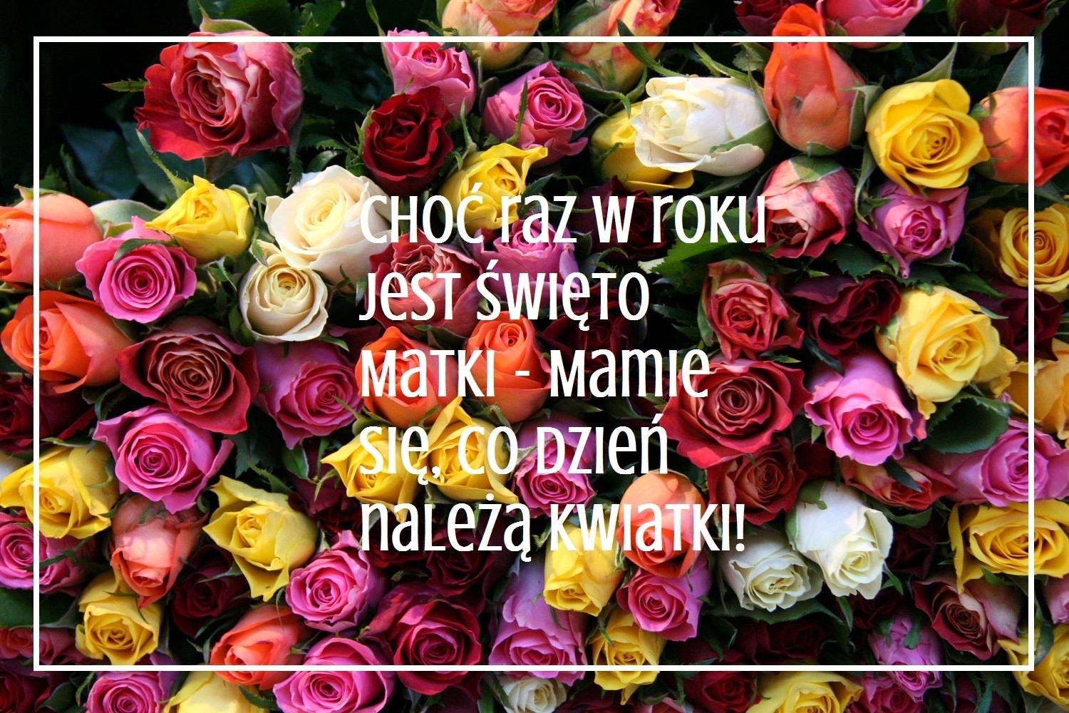 Życzenia Na DzieŃ Matki 2016 Zobacz I Wyślij Radosne życzenia I Wierszyki Na Dzień Matki 0348