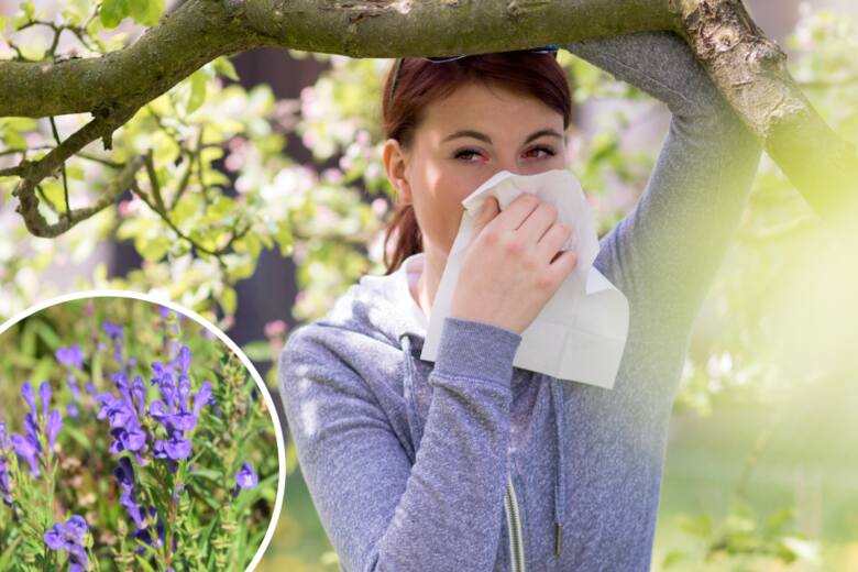 Kobieta przy drzewie wydmuchuje nos w chusteczkę