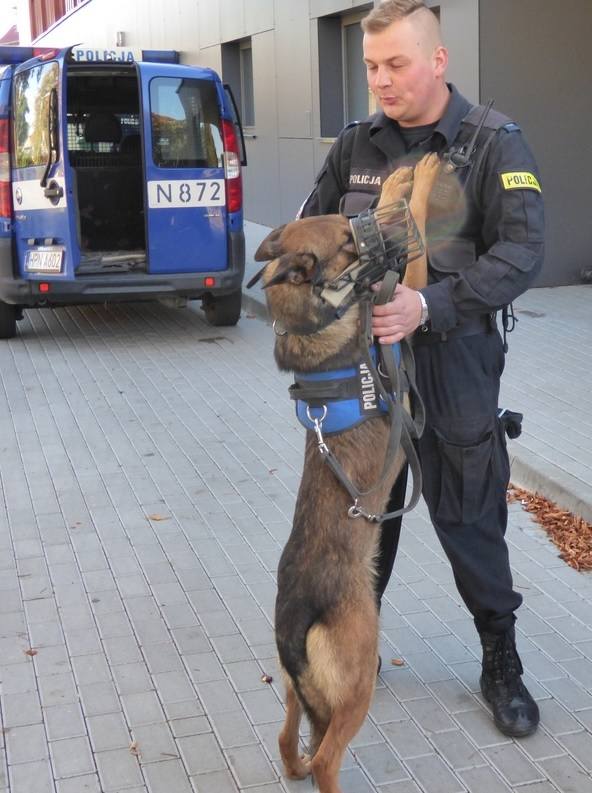 Pies z lęborskiej policji odnalazł zaginioną 16-latkę