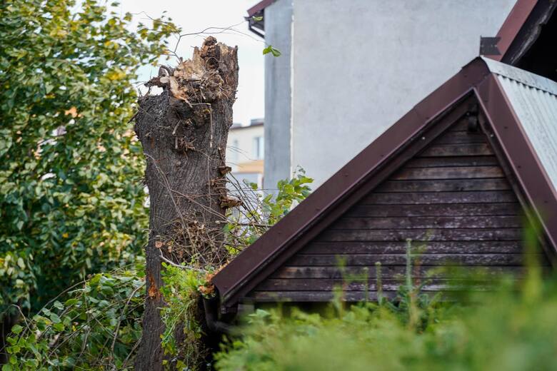 Drzewo złamane przez wiatr uderzyło w dach domu w Gdańsku Brzeźnie