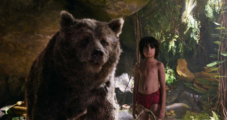 Jednym z przyjaciół naiwnego Mowgliego jest łasuch, miś Baloo: najzabawniejsza postać w „Księdze dżungli”. Film w Gorzowie i Zielonej Górze.
