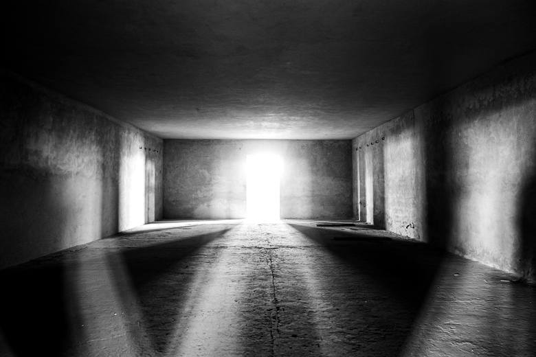 II miejsce w konkursie fotograficznym „Majdanek w obiektywie"
