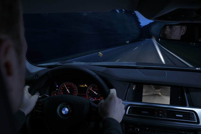 BMW Connected Drive: Night Vision z dynamicznym oświetleniem punktowymi rozpoznawaniem zwierząt, Fot: BMW