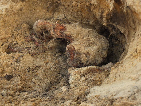 Na Glinkach robotnicy natrafili na masowy grób, pochodzący z czasów II wojny światowej. Prace wstrzymano. Ludzkie szczątki zbada teraz IPN.