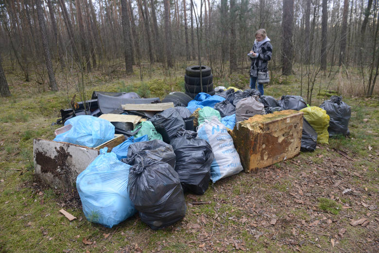 Znalezione przez nas składowisko śmieci w lesie na terenie Nadleśnictwa Sulechów było „podejrzanie” starannie posegregowane.