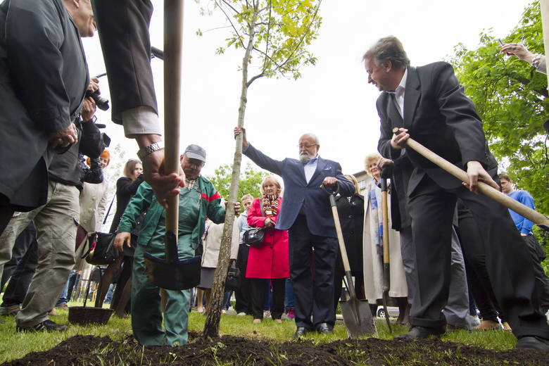Krzysztof Penderecki w maju 2014 roku zasadził swe drzewo w Bydgoskiej Alei Dębów