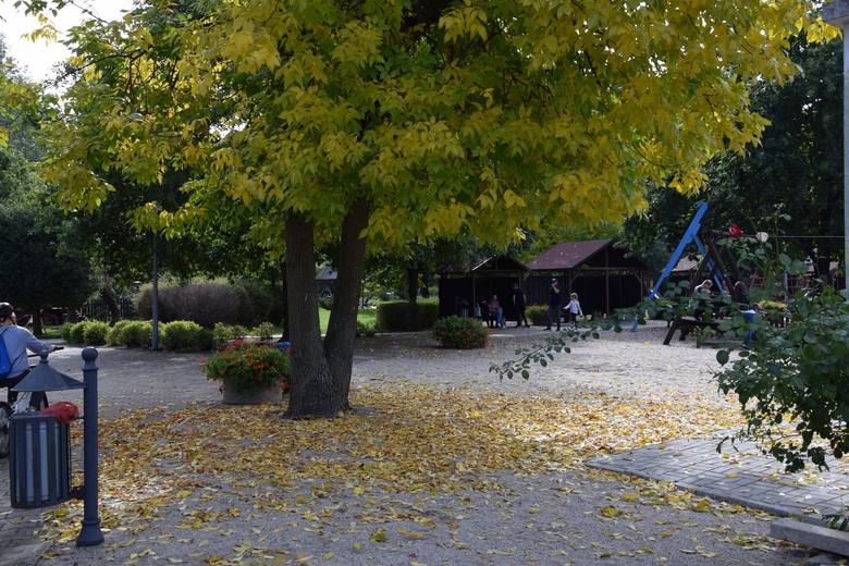 W parku nie brakuje pierwszych oznak jesieni.
