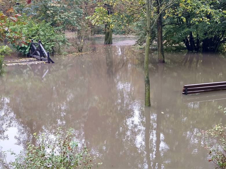 Woda, która nie zmieściła się w stawku, zalała park na Brochowie
