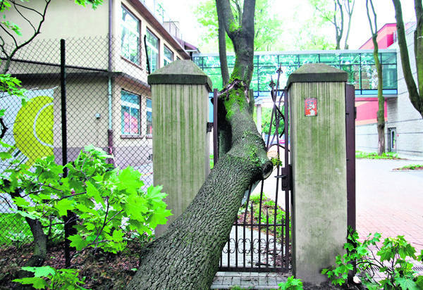 W parku Poniatowskiego drzewo uszkodziło furtkę w bramie ogrodzenia Miejskich Kortów Tenisowych. 