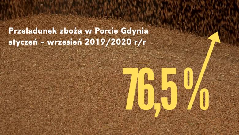 Wzrost przeładunków zboża w Porcie Gdynia pomimo kryzysu