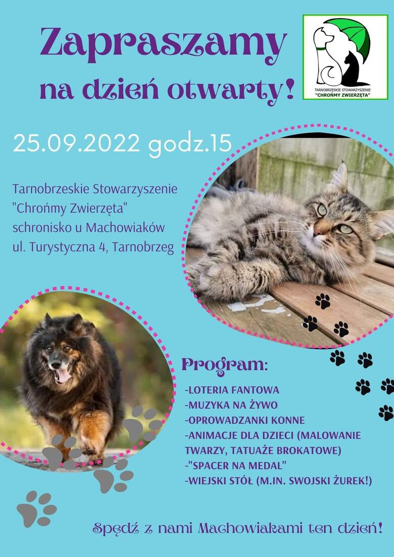 Dzień otwarty schroniska dla zwierząt w Tarnobrzegu. Wolontariusze zapraszają w niedzielę 25 września. Sprawdź program