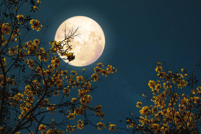 Czy pełnia Księżyca wpływa na człowieka? Zdecydowanie tak. Choć nie zawsze w taki sposób, jak nam się wydaje.