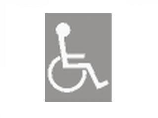 P-24  miejsce dla pojazdu osoby niepełnosprawnej