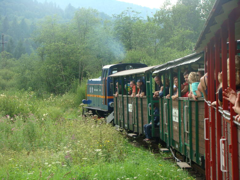 Bieszczadzka Kolejka Leśna jest bardzo popularną atrakcją. Wozi turystów wśród leśnych ostępów Podkarpacia. Zdjęcie na licencji CC BY-SA 4.0.