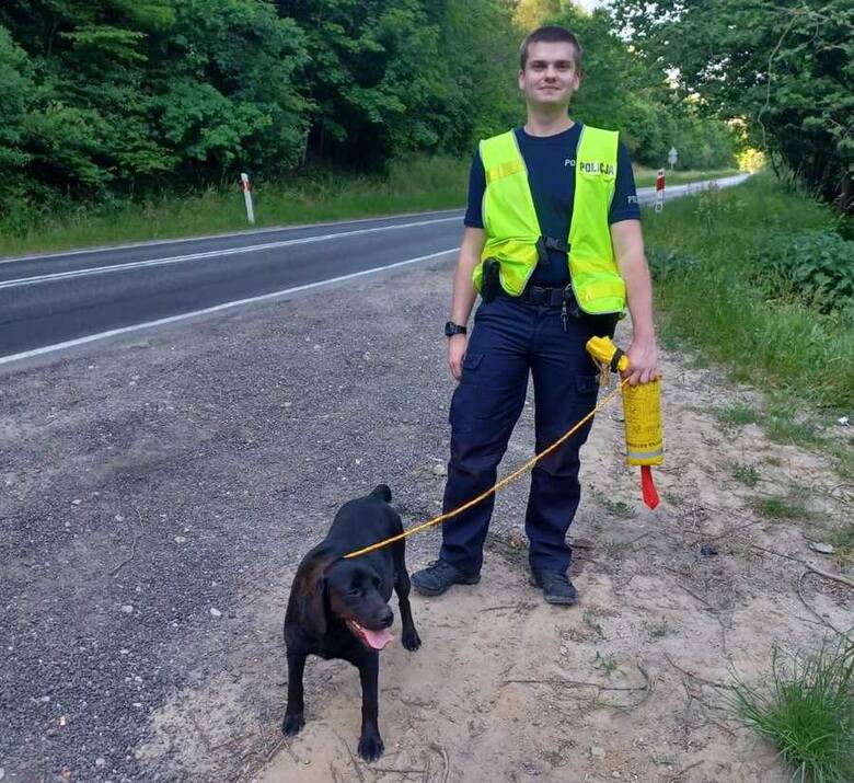 Policjanci z Grudziądza zaopiekowali się psem, a ponieważ nie znaleźli jego właściciela, odwieźli go do schroniska