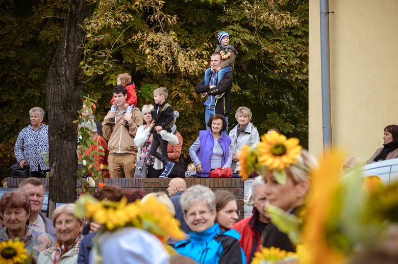 Święto kwiatów w Skierniewicach 2017: Parada [ZDJĘCIA cz.1]