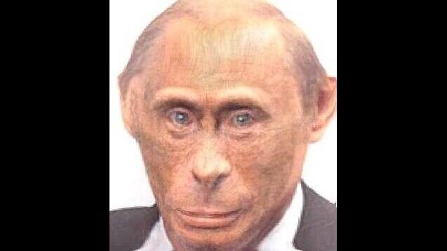 Monkey Putin - mem powstał na długo przed wojną na Ukrainie.