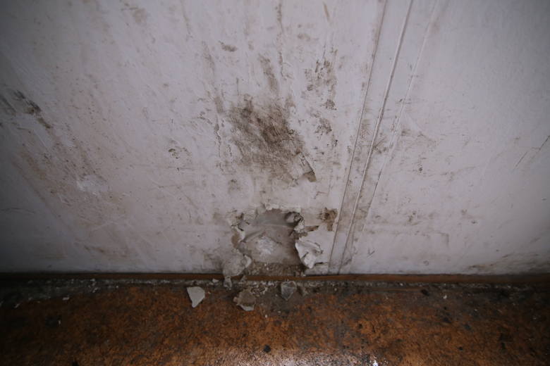 Zapadające się przez wilgoć podłogi, przeciekające sufity, nieszczelne okna, rozpadające się drzwi i szczury wdzierające się do mieszkań socjalnych – to nie horror a codzienność mieszkańców ul. Składowej 19b w Bytomiu