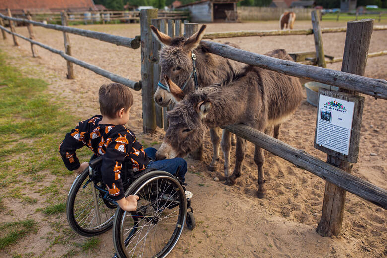 Dla nich ograniczenia nie istnieją. Arek i jego rodzice pokazują, że wózek nie stoi na przeszkodzie w podróżowaniu i spełnianiu marzeń