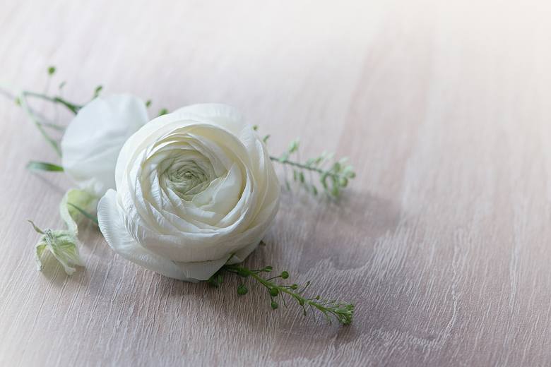 biała róża, kwiaty, kwiaty cięte, jaskier biały
